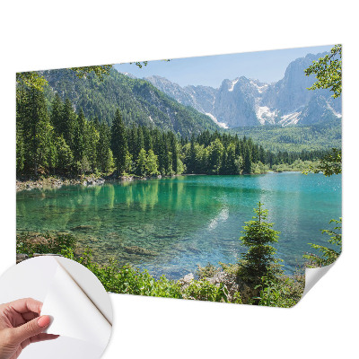 Autocolante de parede fotográfico com imagem de um lago verde