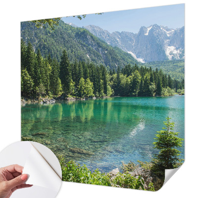 Autocolante de parede fotográfico com imagem de um lago verde