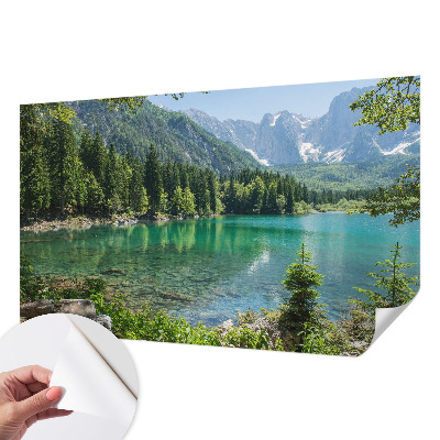 Autocolante de parede fotográfico com imagem de um lago verde
