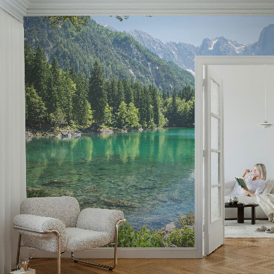 Autocolante de parede fotográfico com imagem de um lago verde