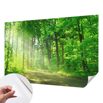 Papel de parede autocolante para sala com estampa de trilha na floresta