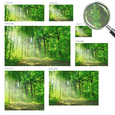 Papel de parede autocolante para sala com estampa de trilha na floresta