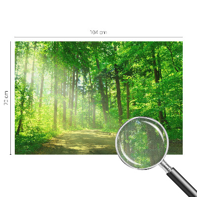 Papel de parede autocolante para sala Trilha na floresta