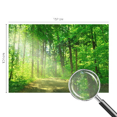 Papel de parede autocolante para sala Trilha na floresta