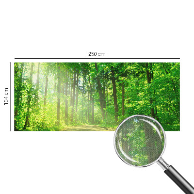 Papel de parede autocolante para sala com estampa de trilha na floresta