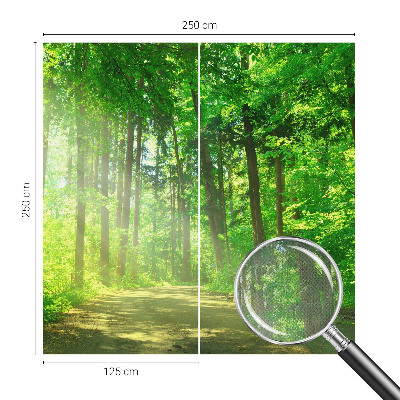Papel de parede autocolante para sala com estampa de trilha na floresta