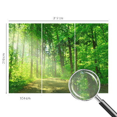 Papel de parede autocolante para sala Trilha na floresta