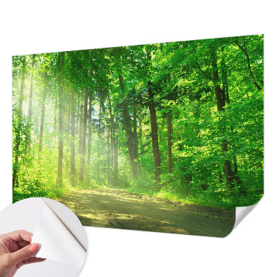 Papel de parede autocolante para sala com estampa de trilha na floresta