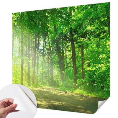 Papel de parede autocolante para sala com estampa de trilha na floresta
