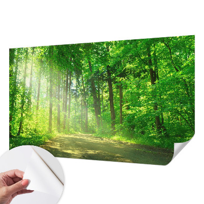 Papel de parede autocolante para sala com estampa de trilha na floresta
