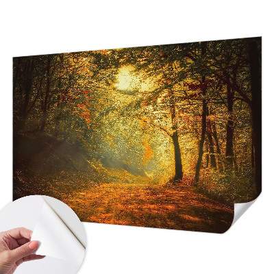 Papel de parede autocolante com estampa de paisagem de outono