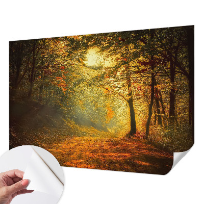 Papel de parede autocolante com estampa de paisagem de outono