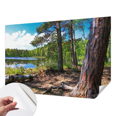 Papel de parede infantil com paisagem florestal