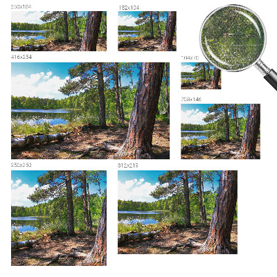 Papel de parede infantil Paisagem florestal