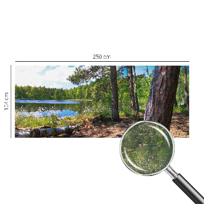 Papel de parede infantil Paisagem florestal