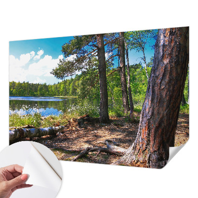 Papel de parede infantil com paisagem florestal