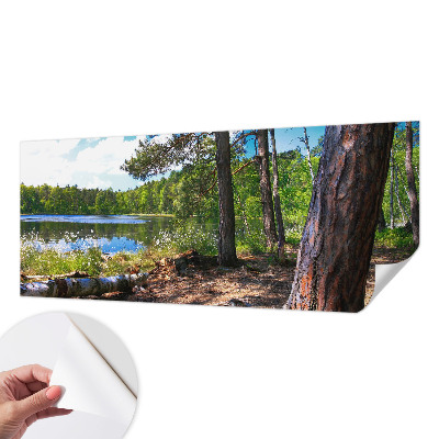 Papel de parede infantil com paisagem florestal