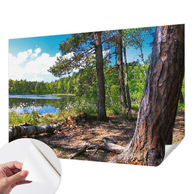Papel de parede infantil com paisagem florestal