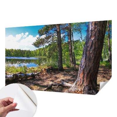 Papel de parede infantil com paisagem florestal
