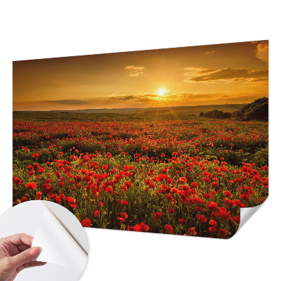 Papel de parede autocolante para quarto com estampa de campo de papoulas