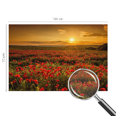 Papel de parede autocolante para quarto Campo de papoulas