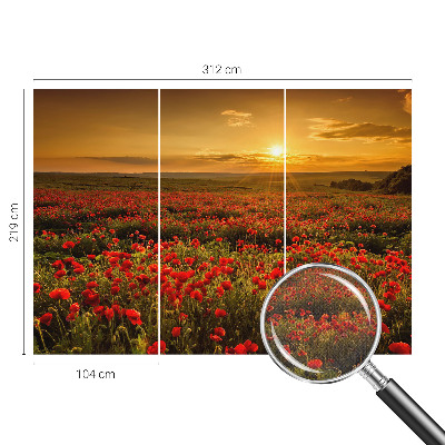 Papel de parede autocolante para quarto com estampa de campo de papoulas