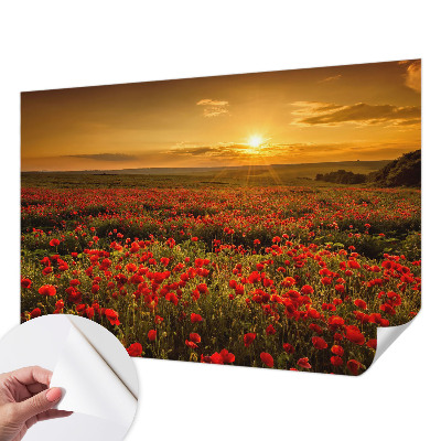 Papel de parede autocolante para quarto com estampa de campo de papoulas