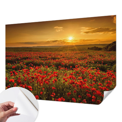 Papel de parede autocolante para quarto com estampa de campo de papoulas