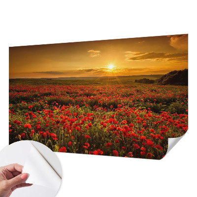 Papel de parede autocolante para quarto com estampa de campo de papoulas