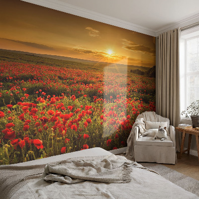Papel de parede autocolante para quarto com estampa de campo de papoulas