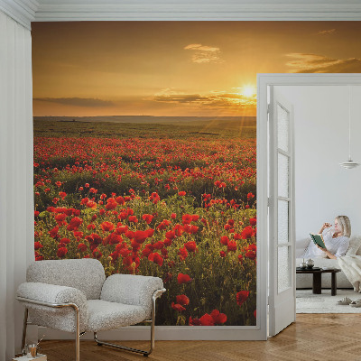 Papel de parede autocolante para quarto com estampa de campo de papoulas