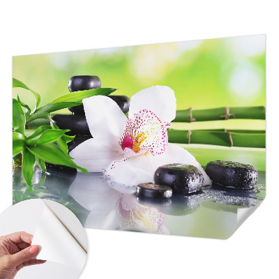 Papel de parede autocolante para sala com estampa 'A paz da natureza' para decoração de interiores