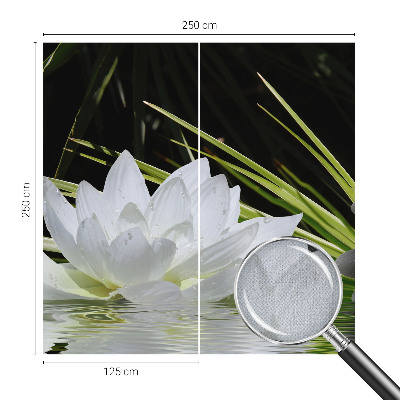 Papel de parede 3D Meditação com lírios