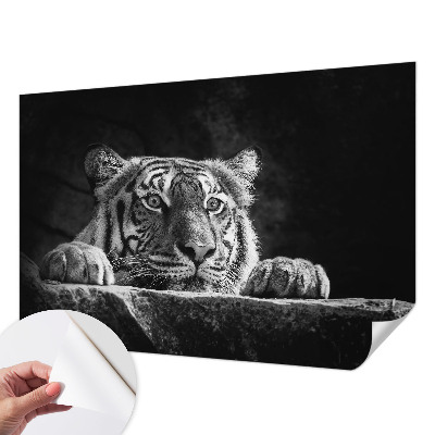 Papel de parede para criança com estampa de olhar predatório