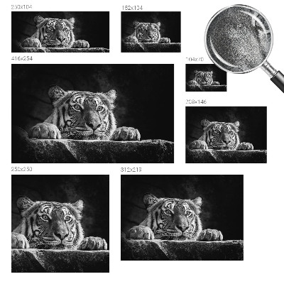 Papel de parede para criança com estampa de olhar predatório