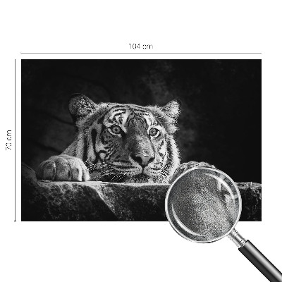 Papel de parede para criança com estampa de olhar predatório