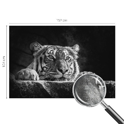 Papel de parede para criança com estampa de olhar predatório