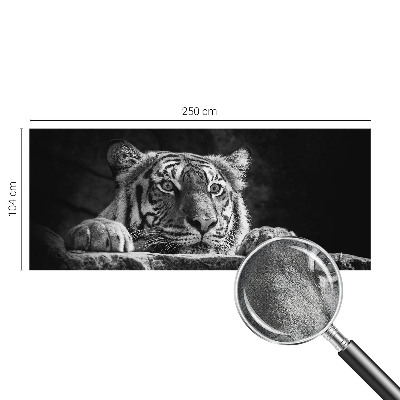 Papel de parede para criança com estampa de olhar predatório