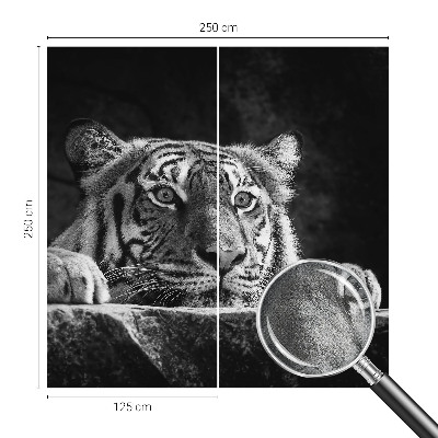 Papel de parede para criança com estampa de olhar predatório