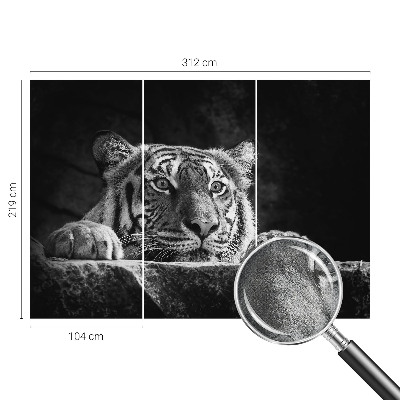 Papel de parede para criança com estampa de olhar predatório