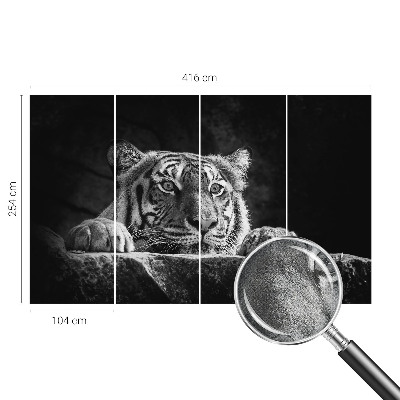 Papel de parede para criança com estampa de olhar predatório