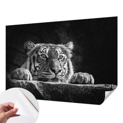 Papel de parede para criança com estampa de olhar predatório