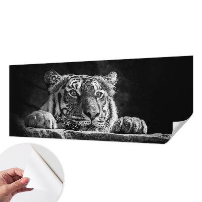 Papel de parede para criança com estampa de olhar predatório