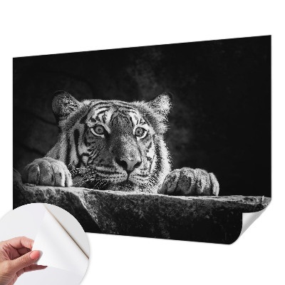 Papel de parede para criança com estampa de olhar predatório
