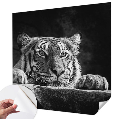 Papel de parede para criança com estampa de olhar predatório