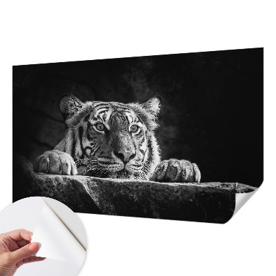 Papel de parede para criança com estampa de olhar predatório