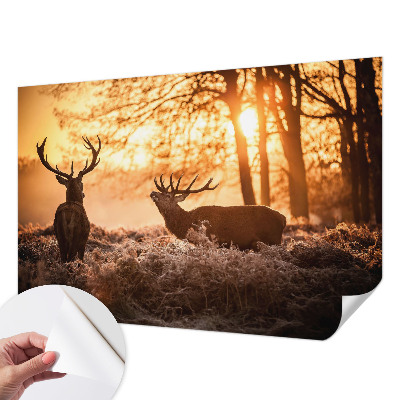 Papel de parede autocolante para quarto com estampa de veados pela manhã