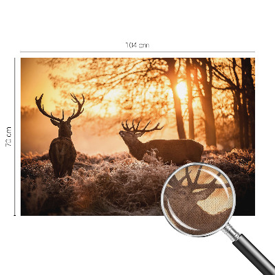 Papel de parede autocolante para quarto Veados pela manhã