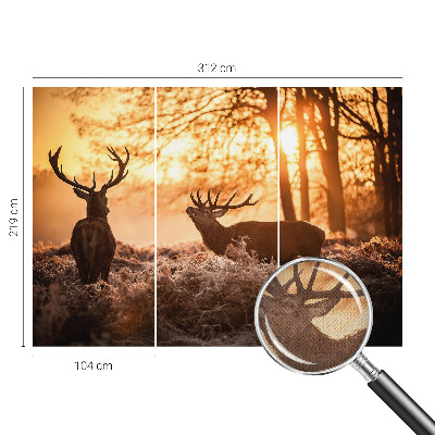 Papel de parede autocolante para quarto Veados pela manhã