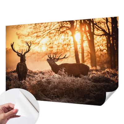 Papel de parede autocolante para quarto com estampa de veados pela manhã